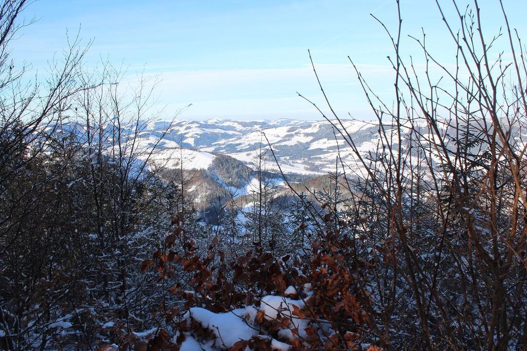 Hirmhof Βίλα Reinsberg Εξωτερικό φωτογραφία