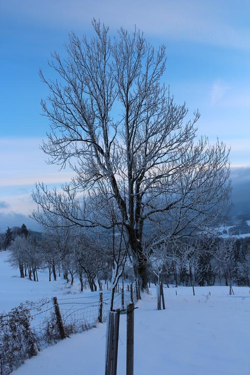 Hirmhof Βίλα Reinsberg Εξωτερικό φωτογραφία