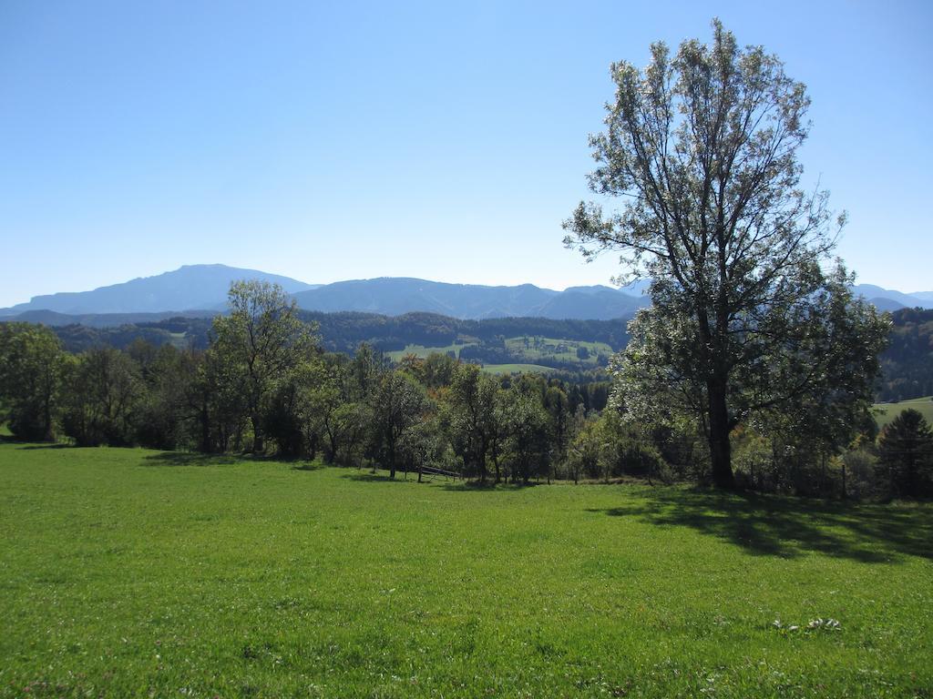 Hirmhof Βίλα Reinsberg Εξωτερικό φωτογραφία